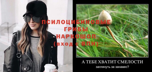 сатива Няндома